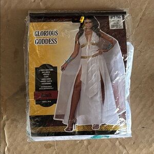 Glorious Goddess Costume in White and Gold